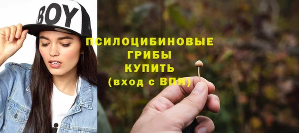 прущие грибы Армянск