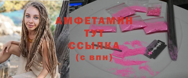 прущие грибы Армянск