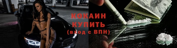 крисы Арсеньев