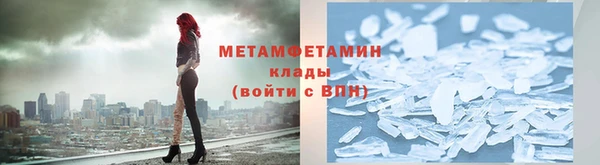 прущие грибы Армянск