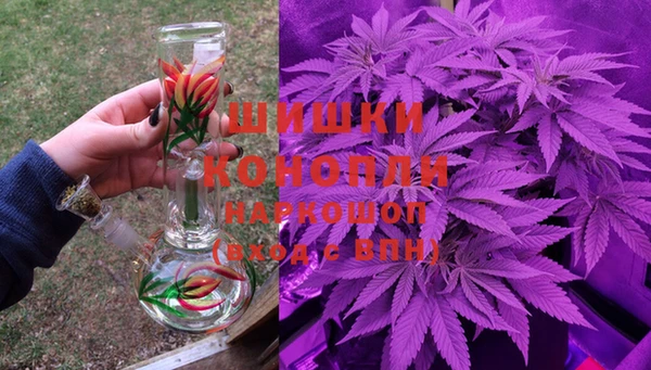 прущие грибы Армянск