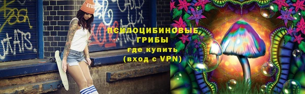 крисы Арсеньев