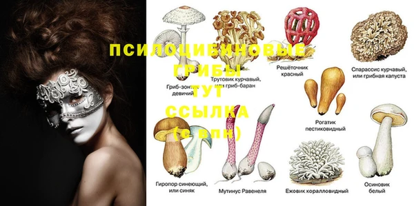 крисы Арсеньев