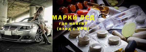 прущие грибы Армянск