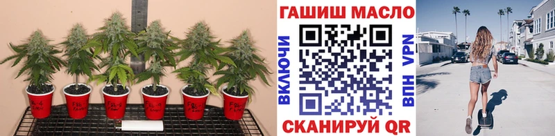 где купить наркоту  МЕГА tor  ТГК жижа  Артёмовск 